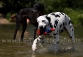 19 Wasseraction